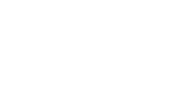 ASCENSORES ING. LIFSCHITZ